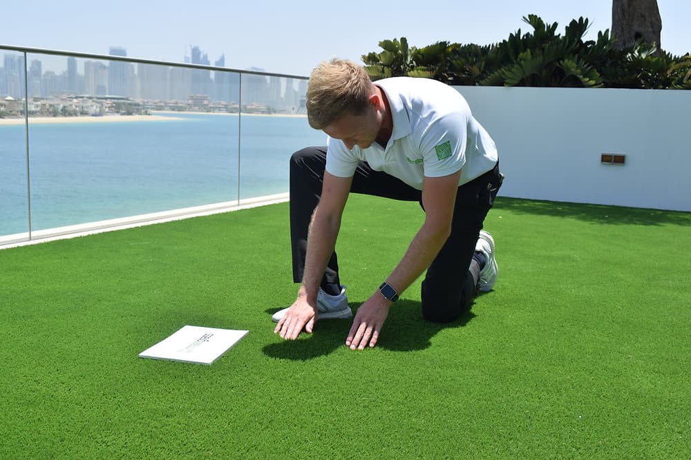 Maintaining your Mazegrass
