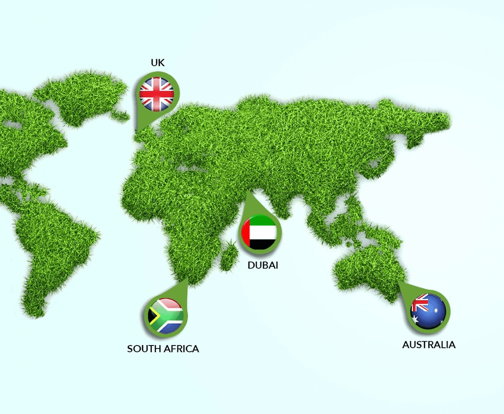 Mazegrass goes from strength to strength