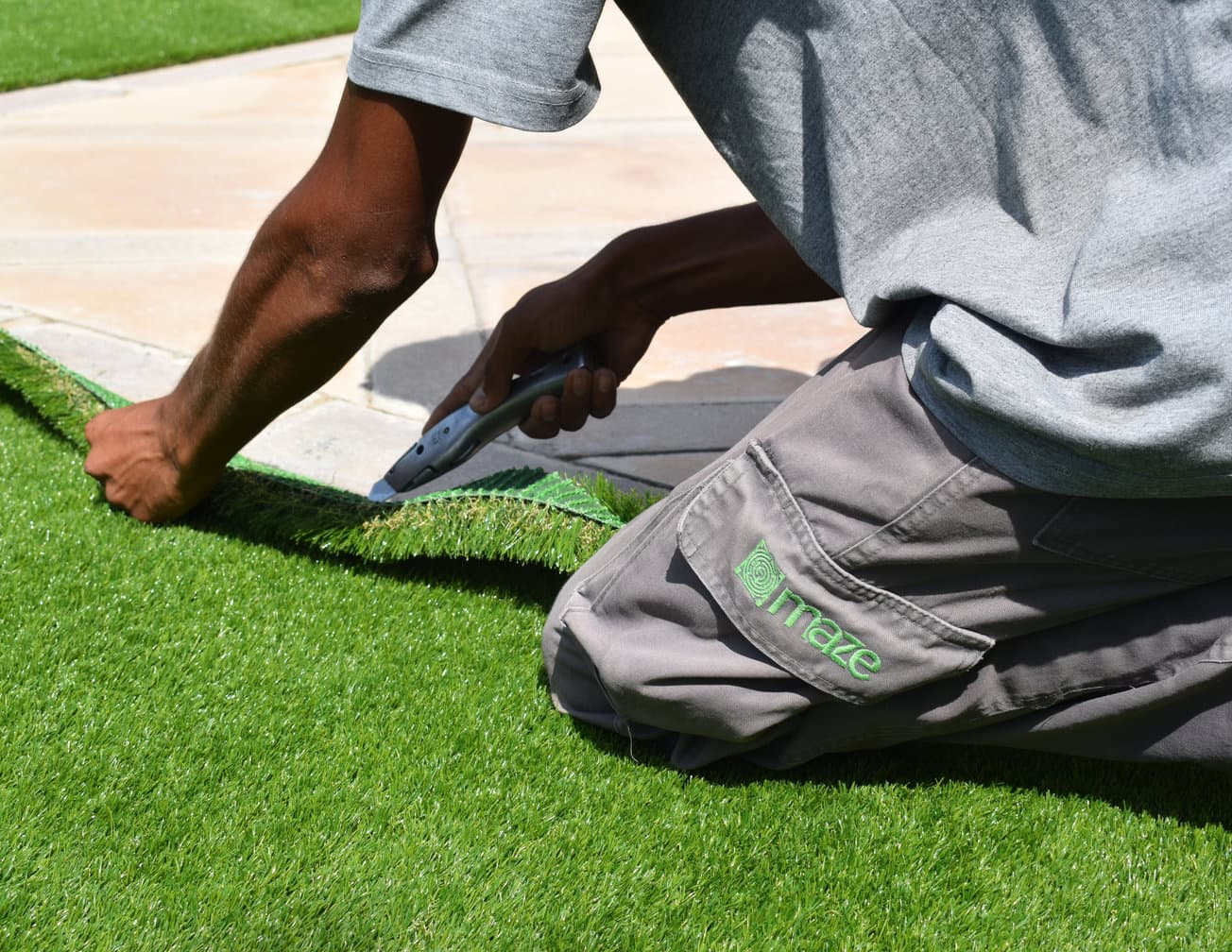 Cutting approved Mazegrass