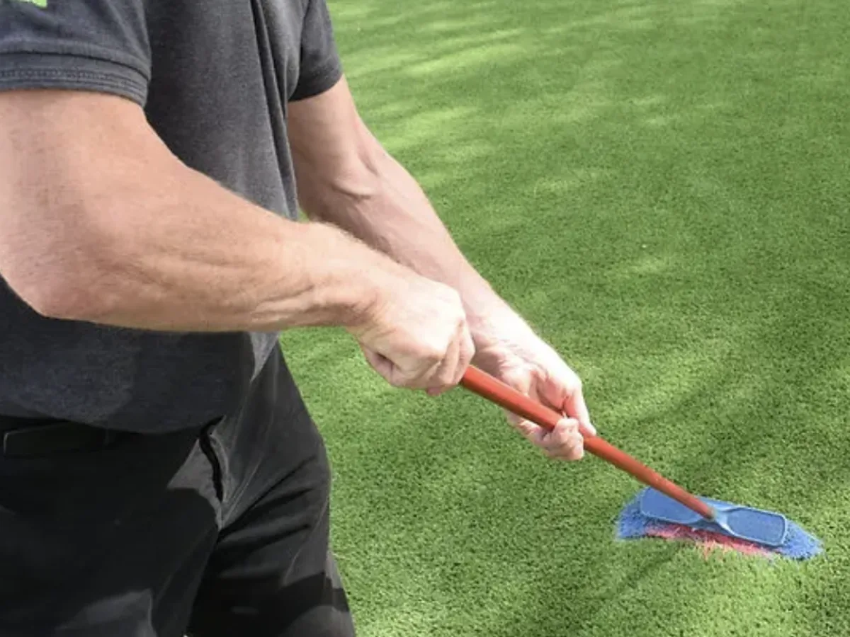 Brushing a Mazegrass lawn against the pile with a stiff brush